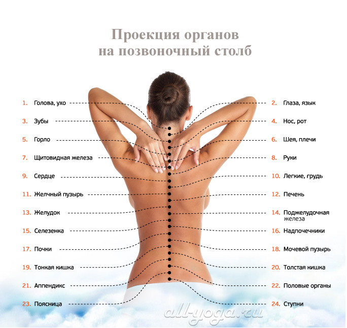 Интимная пластика, коррекция половых губ и клитора, увеличение зоны G