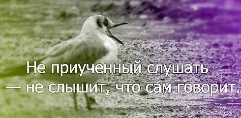 aforizm-135.jpg