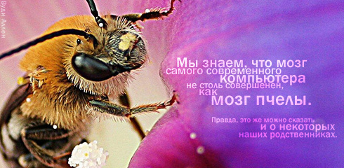 aforizm-192.jpg