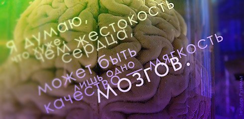 aforizm-235.jpg