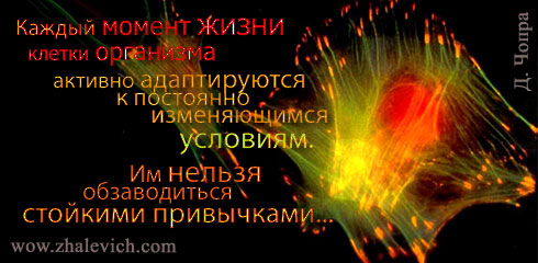 aforizm-300.jpg