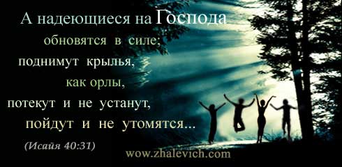 vek-09.jpg