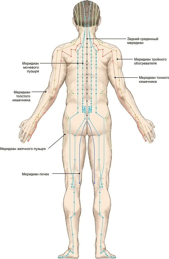 Меридианы на теле человека схема