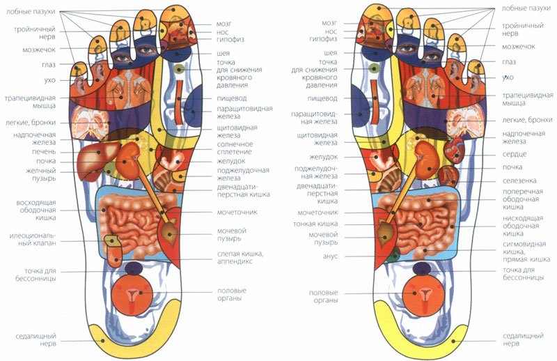 Акупунктурные точки на стопе человека схема расположения фото